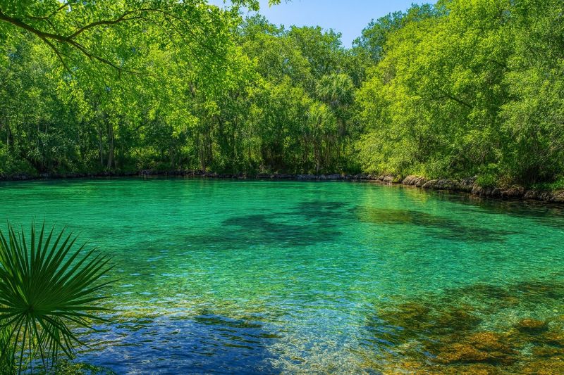 Interlachen, FL
