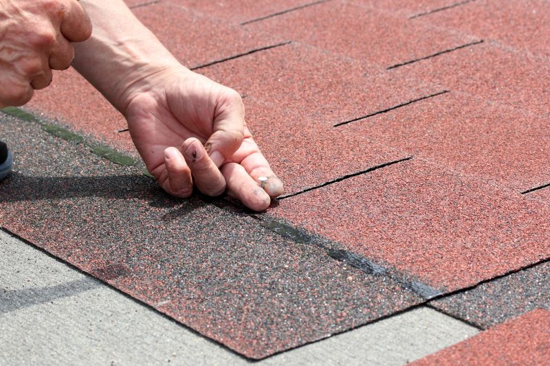 Asphalt Shingles Installation in Interlachen, FL