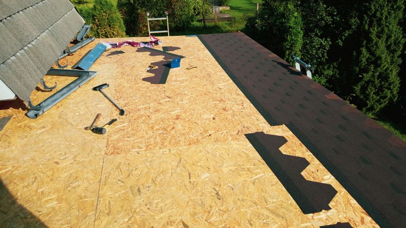Asphalt Shingles Installation in Palatka, FL