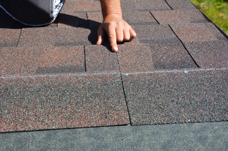 Asphalt Shingles Installation in Palatka, FL