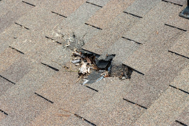 Damaged Roof Replacement in Hastings, FL