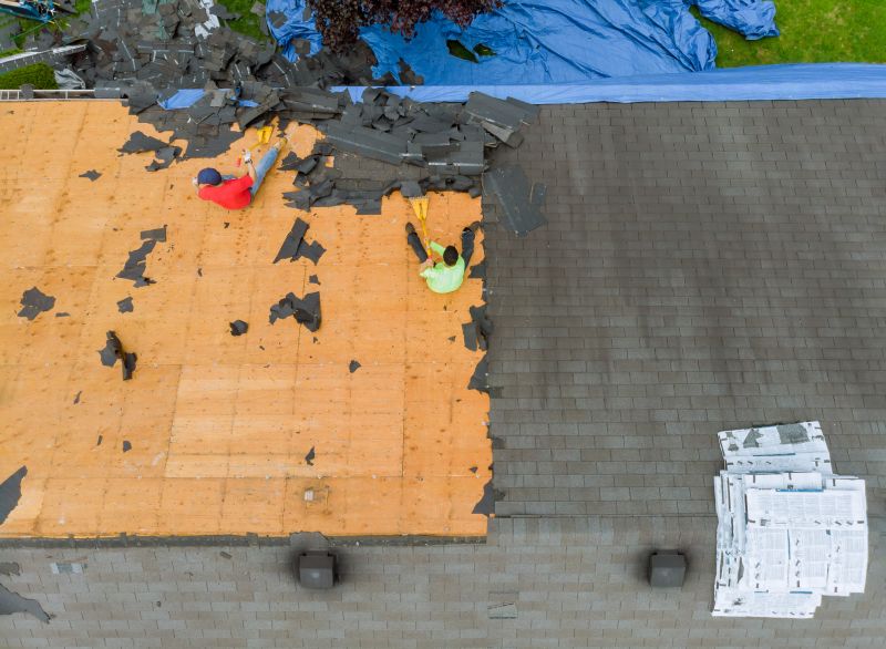 Roof Shingles Replacement in Putnam County, FL